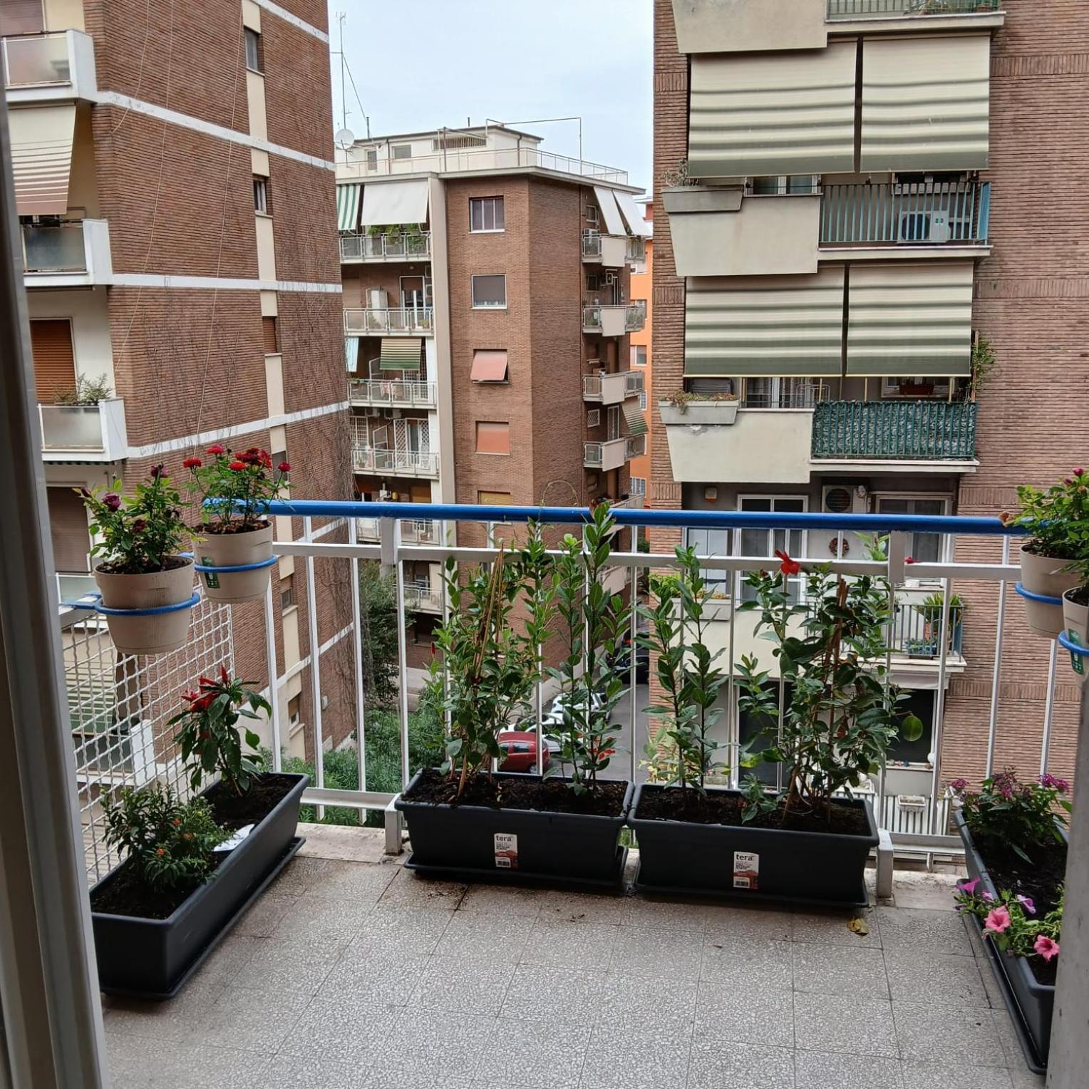 Ferienwohnung Grand Nomentana Roma Exterior foto